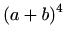 $\displaystyle (a+b)^4$